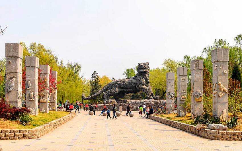 Зоопарк Пекина Beijing Zoo